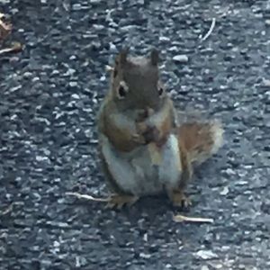 Meet your Posher, Emma